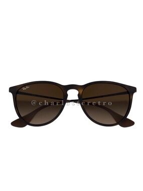 Ray-Ban ERIKA Sunglasses w Signature Case | Italy